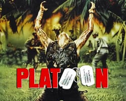 01-PLATOON-Cov