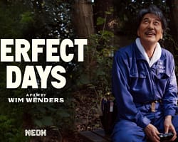 Perfect_days_Cover