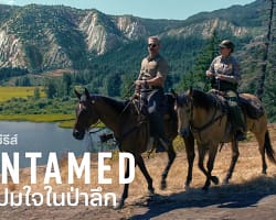 Untamed-cover