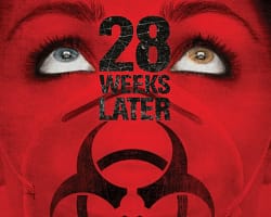 28 Weeks Lalter – Cover