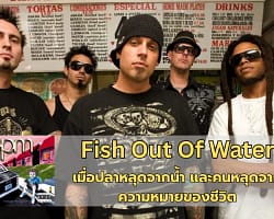 Fish Out Of Water – Cover
