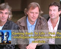 Coming Back To Life - Pink Floyd | การตื่นรู้และกำเนิดใหม่จากห้วงลึกสุดของจิตใจ Coming Back To Life - Pink Floyd-COVER
