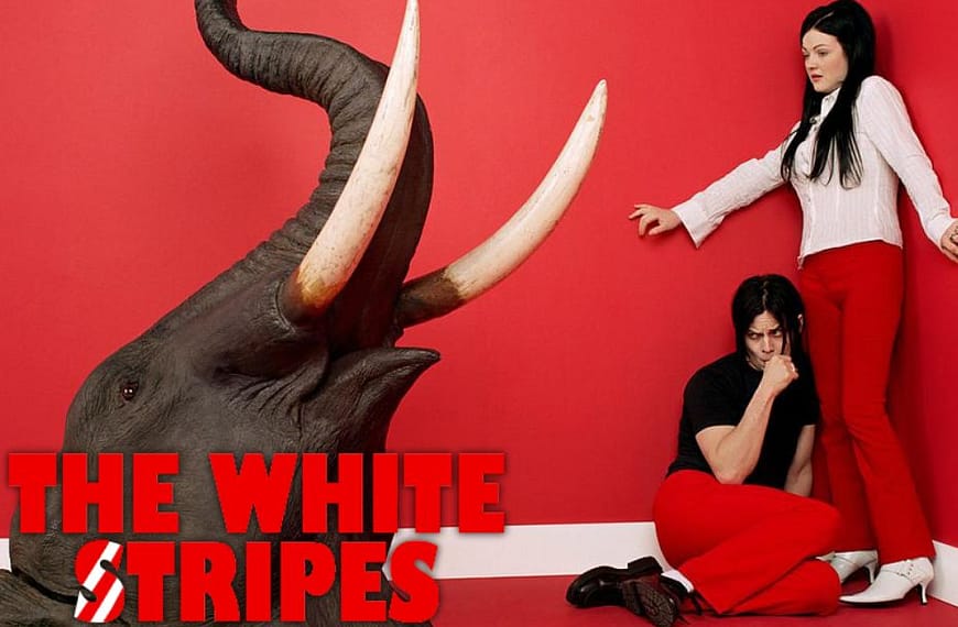 20 ปีกับอัลบั้ม Elephant จากวง The…
