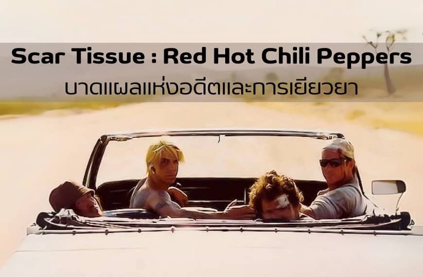 Scar Tissue : Red Hot Chili Peppers | แปลเพลงและความหมาย บาดแผลแห่งอดีตและการเยียวยา